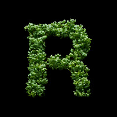 Capital letter R is created from young green arugula sprouts on a black background.