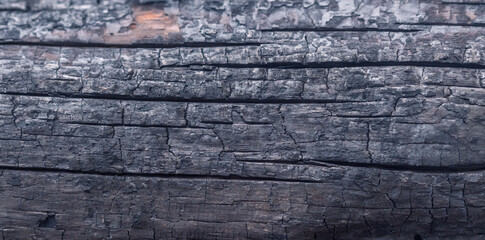 Burnt wooden Board texture. Halloween backdrop. Burned scratched hardwood surface. Smoking wood black plank background