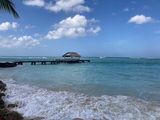 Beautiful Caribbean beach with crystal blue waters and palm trees that looks like paradise 