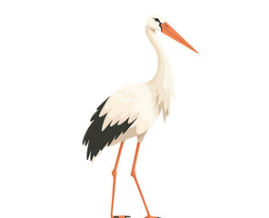 Stork bird character standing on two legs in a cartoon style vector illustration isolated on a white background