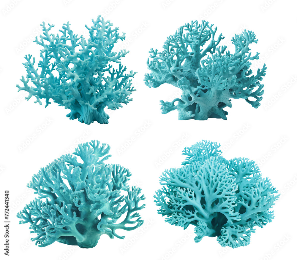 Wall mural set of turquoise coral reefs, cut out