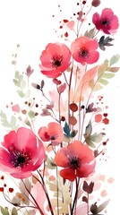 Watercolor hand painted floral illustration poppies bouquet on white background.