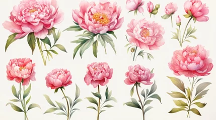 Fotobehang Delicate Watercolor Peony Blooms with Vibrant Hues and Soft Textures © Sittichok