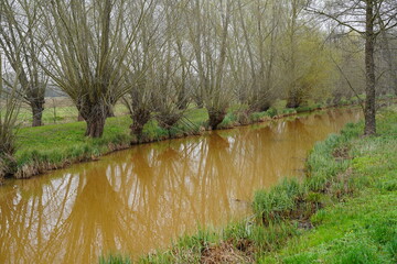 Fließ bei Raddusch im Spreewald mit braun gefärbtem Wasser