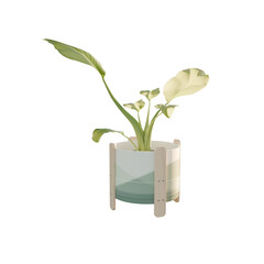 Indoor plants isolated 3D render on transparent background