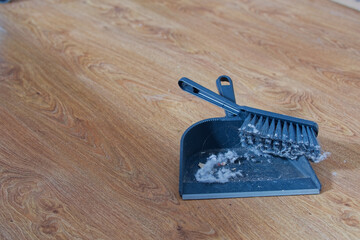 A dustpan and a brush for sweeping the floor lie on a wooden floor, there is a lot of dirt and dust...
