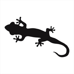 Obraz premium African Fat-Tailed Gecko Silhouette
