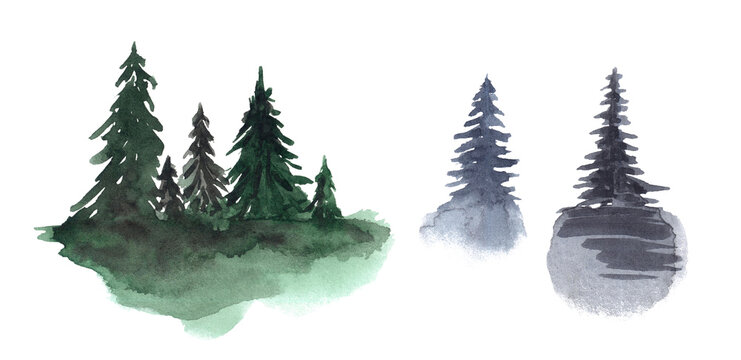 Set of loose watercolor fir tree in dark green, grey, blue colors.Aquarelle spruce wood forest design element.Concept of eco friendly,environment, planet save