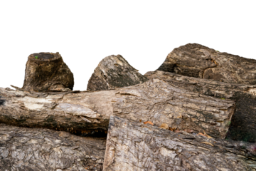 Piles of log tree trunks against an isolated background 