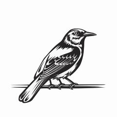 bird on a twig illustration vector image 