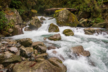 Photograph of a fast flowing river in a small valley surrounded by lush foliage in Fiordland National Park on the South Island of New Zealand