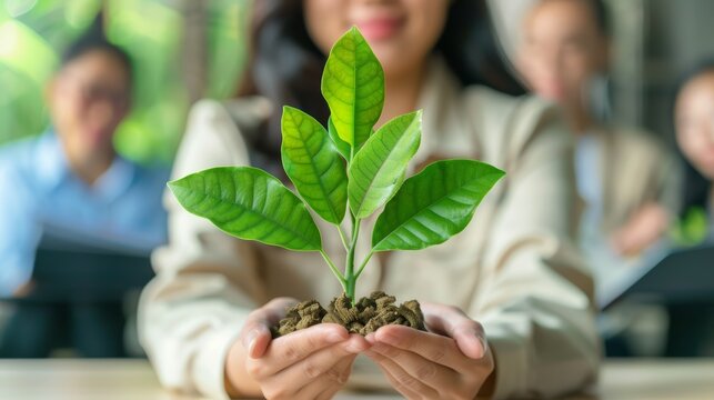 Person holding a young plant with soil. Blurred team in background. Environmental awareness and business growth concept