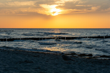 Sunset over the sea with breakwater, beach and birds - 772476130