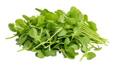 A vibrant array of assorted green leafy greens piled high on a stark white background