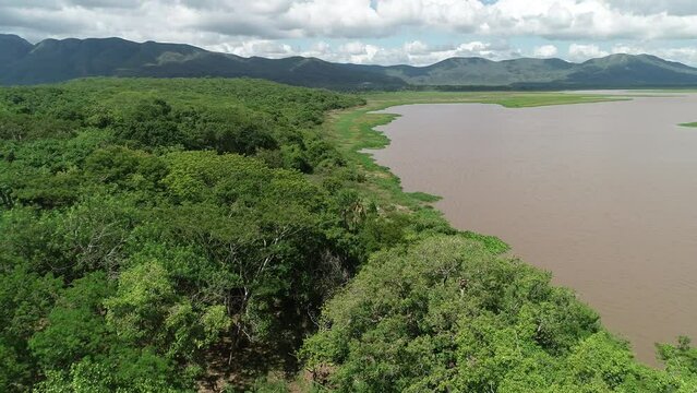 Aerial view of riparian forest in the banks of Paraguai River, Pantanal Region - Corumb&aacute;, Mato Grosso do Sul, Brazil