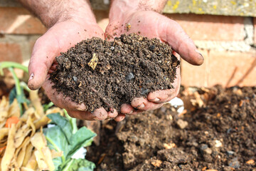 Freshly sifted compost soil to fertilize the garden