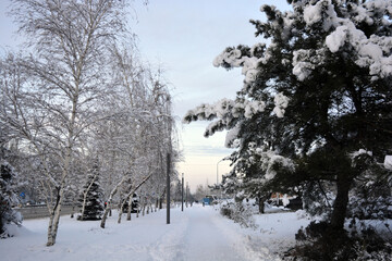 Winter city Dnipro (Dnepropetrovsk), Ukraine. The embankment of the Dnipro River, the area of the residential area 