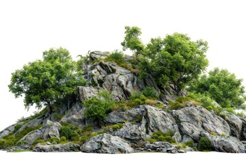 A group of trees situated on a rocky hill. Perfect for nature-themed designs - obrazy, fototapety, plakaty