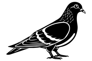 pigeon-icon-vector-illustration