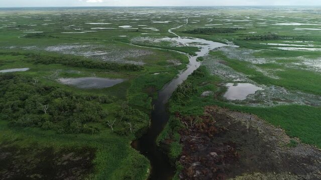 Aerial view of Paraguai River, Pantanal Region - Corumb&aacute;, Mato Grosso do Sul, Brazil