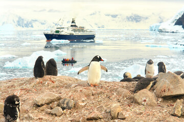 Tourist ship in the waters of the Antarctic Ocean