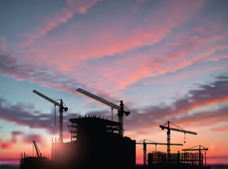 six black cranes build house at sunset - 772489729