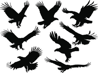 eight eagle silhouettes isolated on white