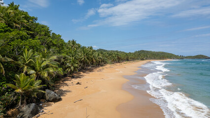 Photography of a beautiful beach. Crystal clear waters with blue tones. Gentle waves and green palm trees that give it a tropical touch. Natural landscape. Paradisiac island