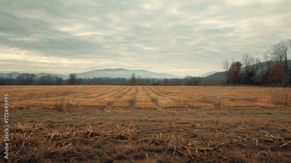 Aufkleber a scenic view of a grass field with majestic mountains in the background. ideal for nature and lands