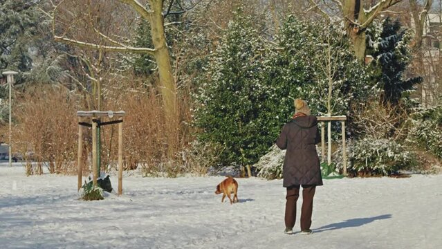 A woman walks her dog on frosty and sunny morning