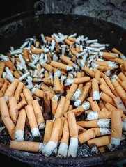 smoking  | cause of cancer | thousands of cigarette butts in one collection container