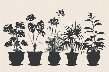 Obraz premium A group of potted plants lined up together. Perfect for interior design projects