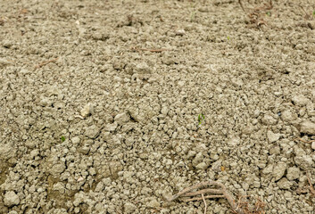 close-up view of loose clods of soil in the countryside