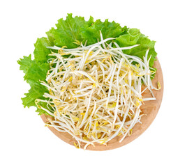 Bean sprouts transparent png