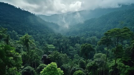 Beautiful landscape nature of tropical rain-forest