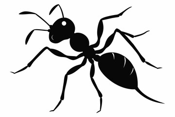 simple ant silhouette black vector illustration