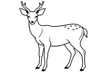 Fototapeta na wymiar tailed buck or deer line art vector illustration