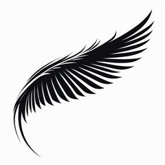 Obraz premium black wings white background isolated