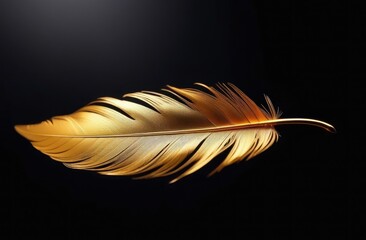 Golden feather on a black background. - obrazy, fototapety, plakaty