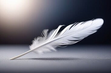 A white fly feather on blue background.