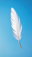 A white feather on blue background. Vertical