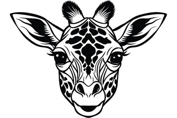 Close-up of giraffe face line art vector illustration