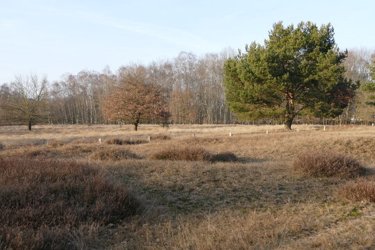 Boberger D&uuml;nen