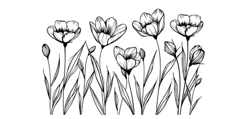 Botanical Flax Flowers Vector border. Elegant black line floral design for summer decor, wedding invitations, and art cards. Vintage linen illustration - obrazy, fototapety, plakaty