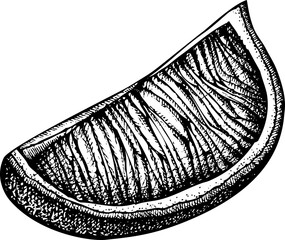 Hand-drawn lime slice illustration. Citrus fruit vector sketch. Exotic plant botanical drawing - 772523746