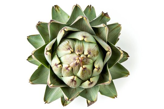 A top-down view of a fresh artichoke, set against a clean white background with elements of organic greenery