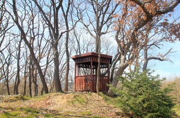 Wooden gazebo in the park among the trees