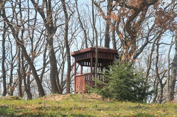 Wooden gazebo in the park among the trees