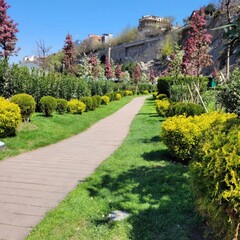 garden in the city, , georgia