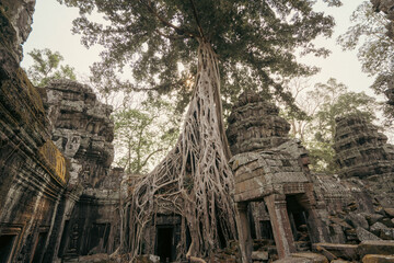 Ta Prohm Tomb Raider Temple in Angkor complex Cambodia